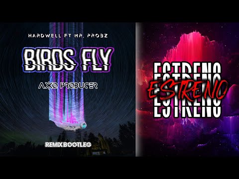 Hardwell Ft. Mr. Probz - Birds Fly (AKKO Producer Remix Bootleg) [Tetris Music 2020]