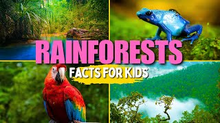 Learn All About Rainforests (Facts for Kids) gameplay video by mgorham, 5:29 duration