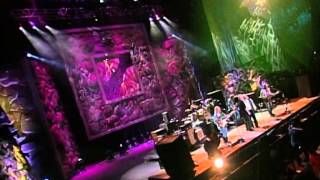 Crosby, Stills, Nash &amp; Young - Cinnamon Girl (Live at Farm Aid 2000)