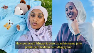 Download lagu Kuni pranki ta’uu  hin danda’u yoomu dhiifama siif hin godhu Hawiye  mp3