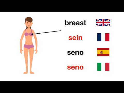 Body Parts In 4 Languages || English , French , Spanish , Italian.