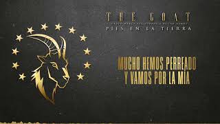 Pies En La Tierra Lyrics English Translation