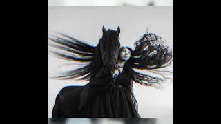 16 horsepower - coal black horses