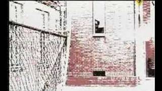 Celestial Season - Outshine