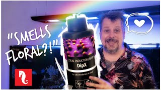 We Test Red Sea’s New Coral Dip - DipX | Dipping Acropora