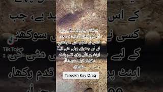 Footprint Of Ur #tareekh #ancient #history #ur #Mesopotamia #akkadian #ziggurat #urnammu #Babylonia