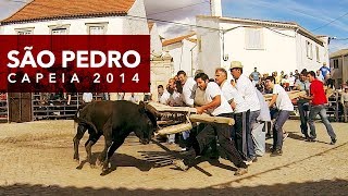 preview picture of video 'Capeia São Pedro 2014 - Aldeia da Ponte'
