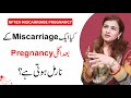 Pregnancy Planning After Miscarriage Baby Loss Urdu Hindi Dr Maryam Raana Gynaecologist