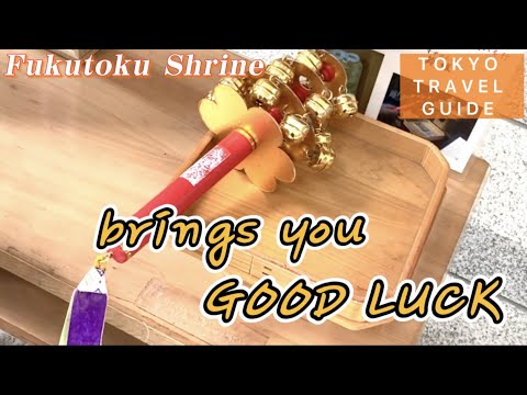 Visiting a shrine in Tokyo! May bring you good luck.