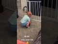 Strongman Baby