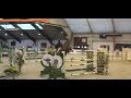 Hongre idéal 130/135