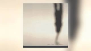 10 Simon Fisher Turner - Mud Larks [Editions Mego]