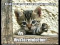 Le Peuple de l'Herbe - Viva La Revolucion