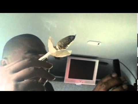 ONYX and N.O.R.E. smoking a Tulip