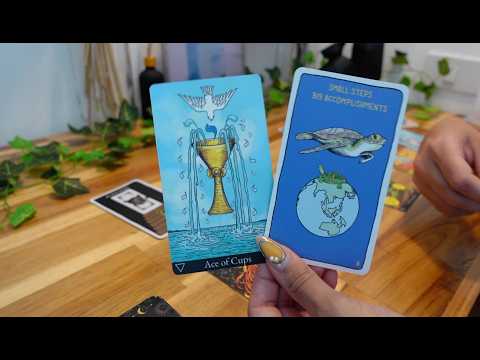 CAPRICORN: No Pressure But This Is Going To Be The BIGGEST Harvest EVER 🤯🎊