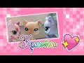 Littlest Pet Shop: Красотка (1 сезон 1 серия) 