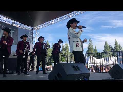 Banda arkangel R-15 “popurrí”