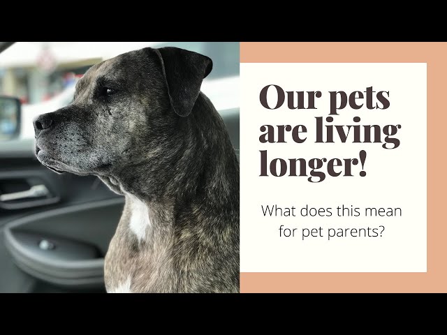 Our Pets Are Living Longer!