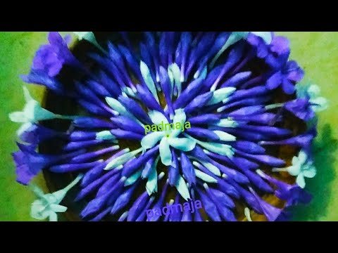😍 MY CREATION 😍 PADMAJA CREATIONS 😍 DECEMBER FLOWER'S 😍😍😍ENJOY 😍😍😍