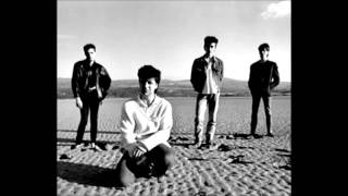 Chameleons... One Flesh