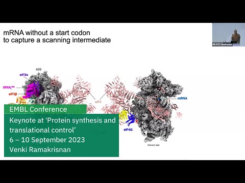 EMBL keynote lecture: A human translational initiation complex suggests two roles for helicase eIF4A
