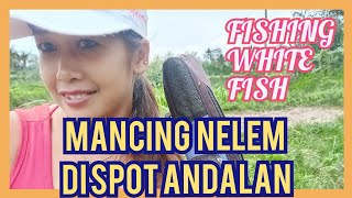 Download lagu MATA KAIL STRIKE DI SPOT LAMA MANCING MANIA mp3 Download lagu MATA KAIL STRIKE DI SPOT LAMA MANCING MANIA mp3