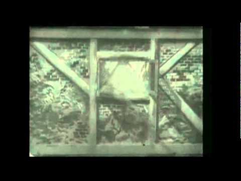 ABSOLUM  & PAINKILLER vs ALICIA.wmv