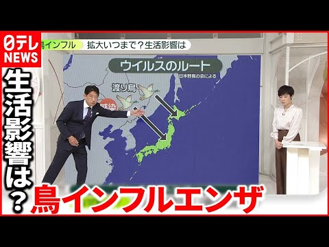 鳥インフルエンザの発生要因について詳しく解説