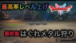 【最高率！？】はぐれメタル狩りでのレベル上げ紹介します！！【ドラクエ1 HD-2D】