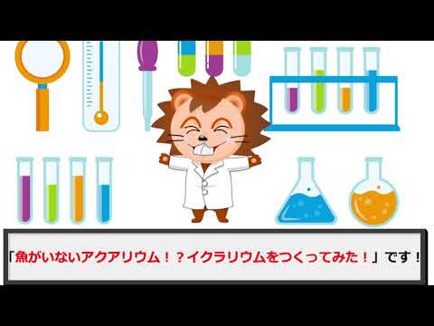 【オンラインこども科学教室】魚がいないアクアリウム！？イクラリウムをつくってみた！