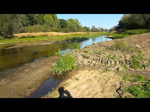15 08 29 Ujście Baryczy do Odry stan wody
