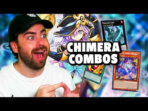 Illusion Chimera Techs & Combo Lines YOU NEED to Know!