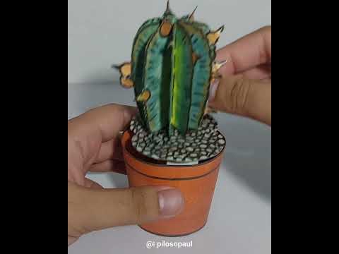 Cactus 🌵 #art #popup #popupcard #popupbook #garden #plant #plants #cactus #cacti