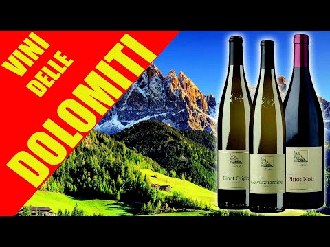 I vini delle Dolomiti - Alto Adige - Südtirol