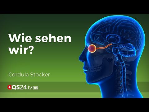 Das Auge: So funktioniert Sehen | Augenoptikerin Cordula Stocker | Naturmedizin | QS24