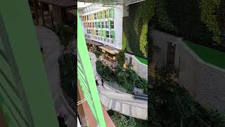 Icon of the Seas- World largest cruise ship #royalcaribbean #Unuco #unicornqueen757