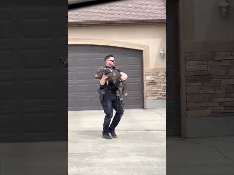 This cop had a strange day at work 😂