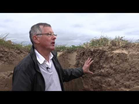 Décompactage Semis direct Labour - Christian Roisin