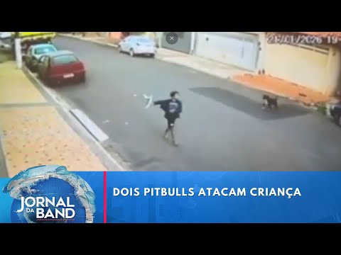 SP: Pitbulls atacam menino de 8 anos | Jornal da Band