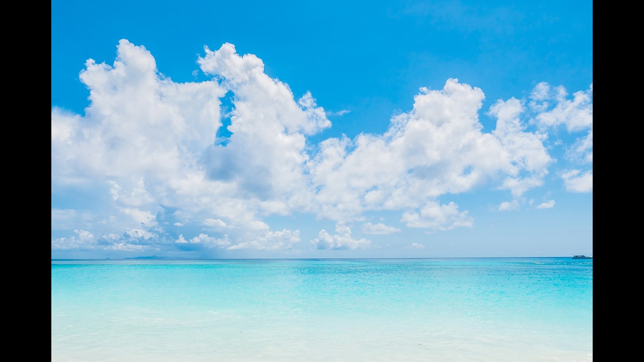 離党者続出の今、、、（ハードオフ永田さん久留米国分店おつかれさまでした。）