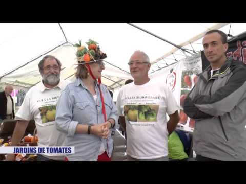 FETE DE LA TOMATE 2015 VERSION PJH