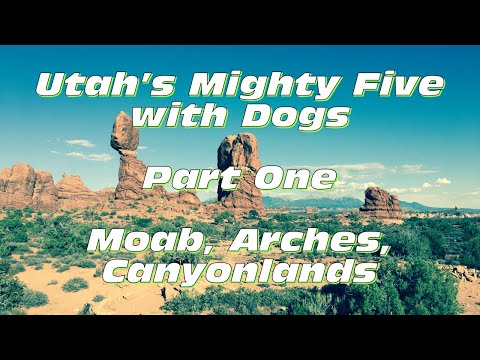 YouTube video about: How many dogs can you have in utah?