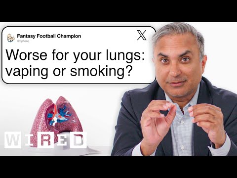 Interesting Facts About Human Lungs Everyone Should Know