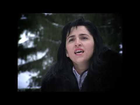 Ani Rogojan   In Sfanta Carte