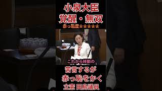 『小泉大臣神答弁』田島議員赤っ恥！「本を読め」に小泉大臣、すでに愛読書ですが？何か？まさかのカウンター回答に田島議員タジタジ！ #政治 #ニュース #参議院＃小泉大臣＃田島議員＃立憲＃自民党