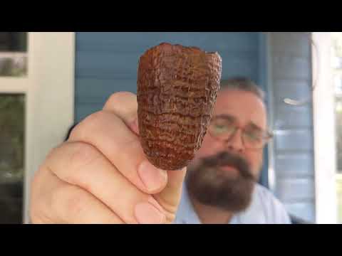 The Charatan Freehand with SPC Plum Pudding.