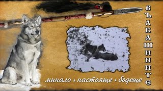 ВЪЛКАШИНИТЕ минало настояще еп.07