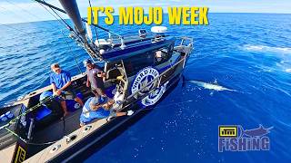 First Fishing Mission For The New Boat!