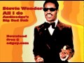 Stevie Wonder - All I do (Audioedge's Big Bad Dub ...