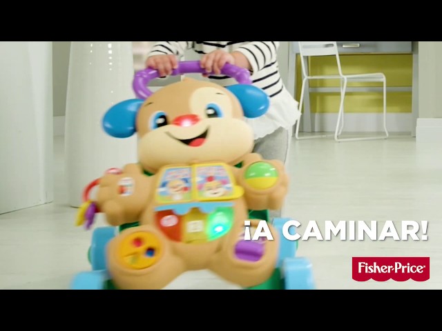 Vídeo relacionado con Fisher-Price FP Pets Transportín Clasifica y Guarda, Juguete para clasificar Formas con Actividades de motricidad Fina para bebés a Partir de 6 Meses, HTW93